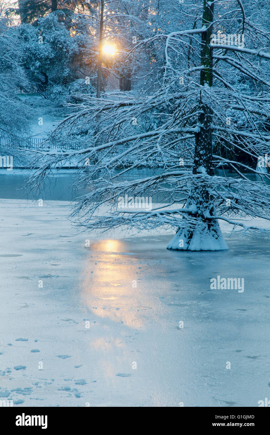 Frozen over pond, Cristal Palace. The Retiro park, Madrid, Spain. Stock Photo