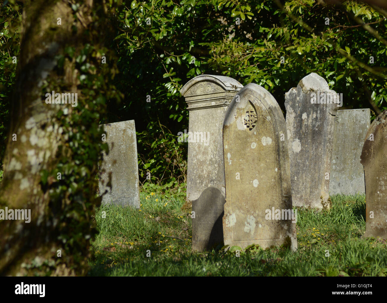 Graves at St James Parish Church Arlington Court North Devon Chichester ...