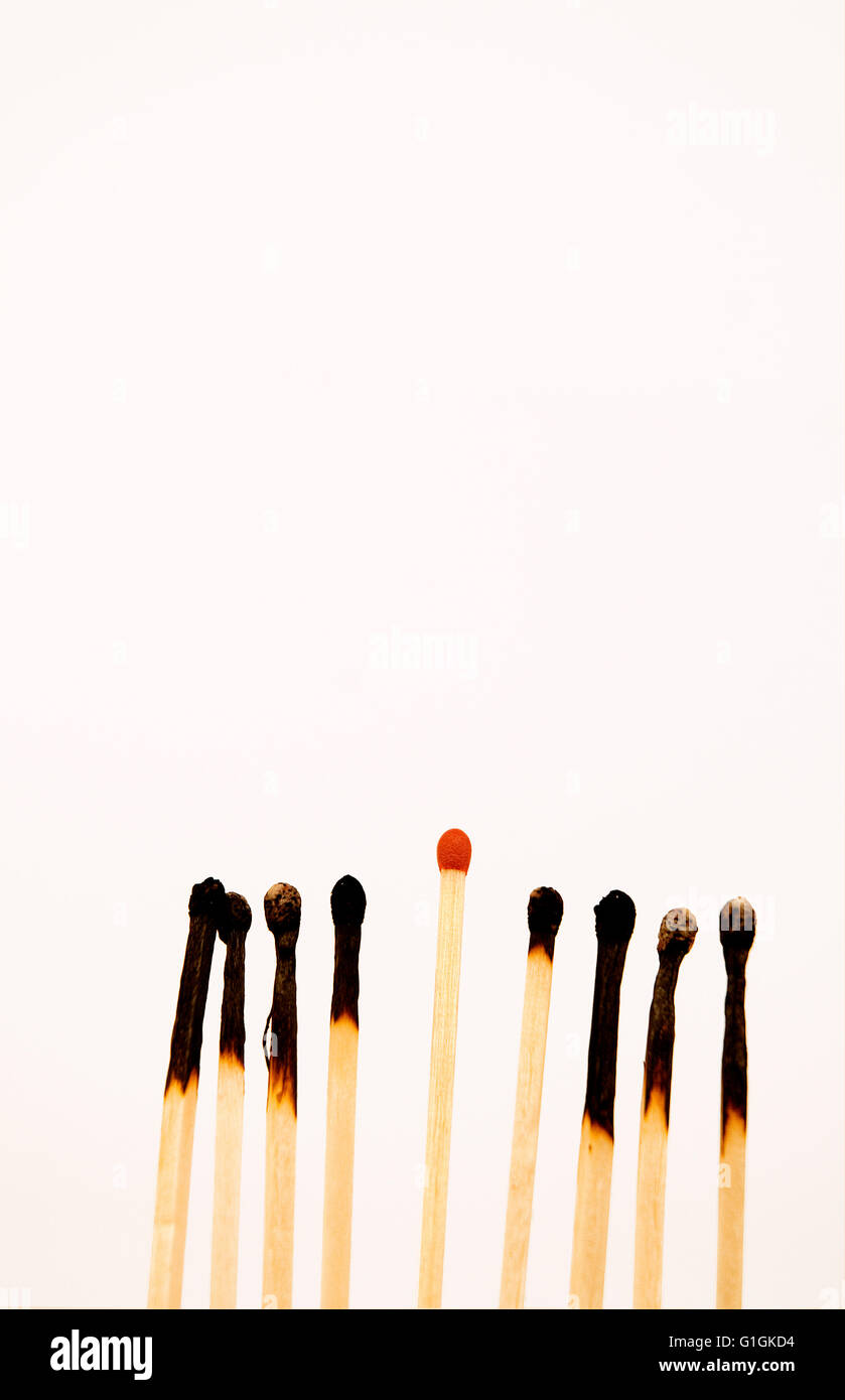 Unlit match sticking out from burned matches Stock Photo Alamy