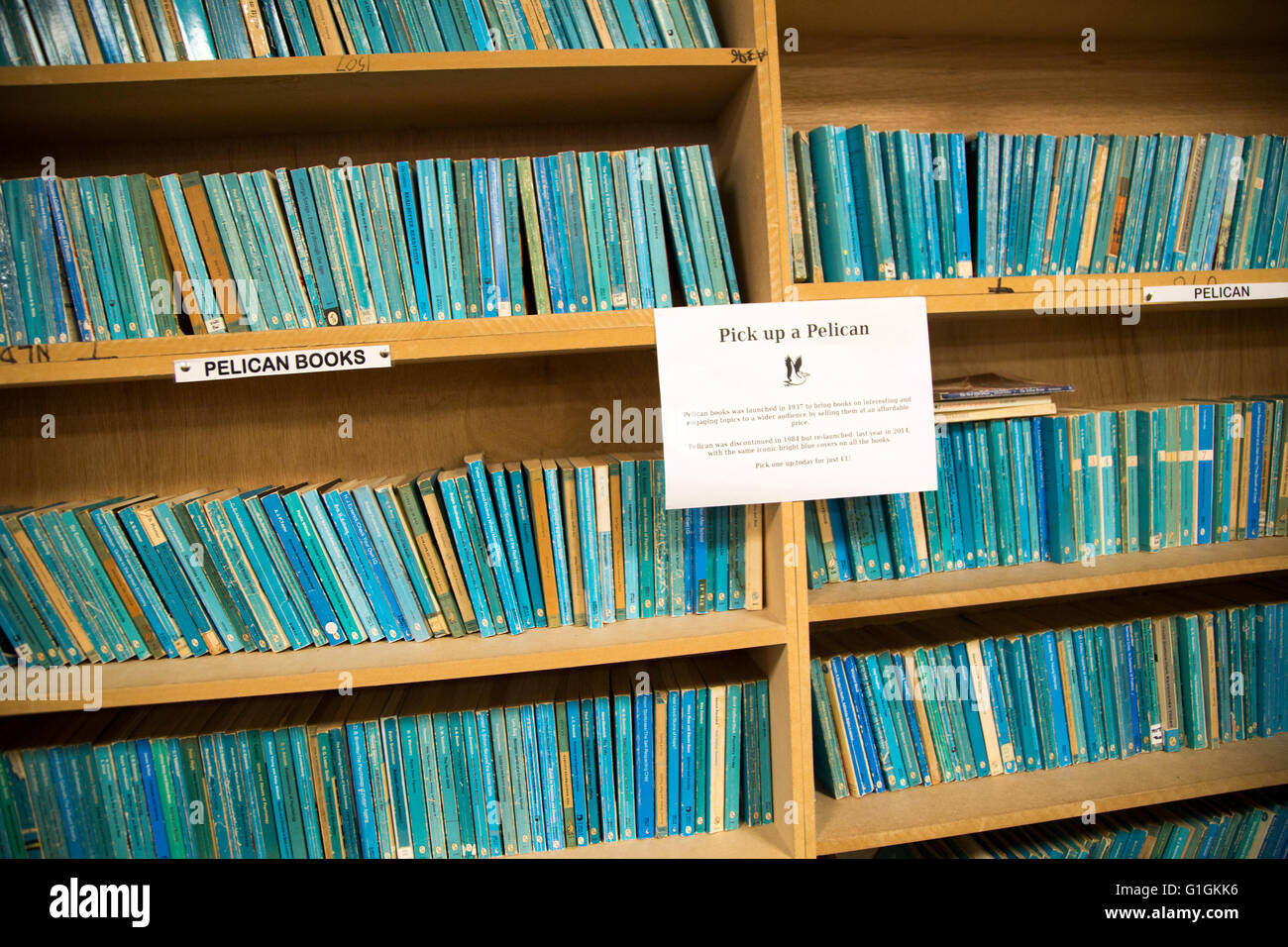 Blue Pelican secondhand books on bookshelves in huge Bookbarn International shop, Hallatrow, near Bristol, England, UK Stock Photo