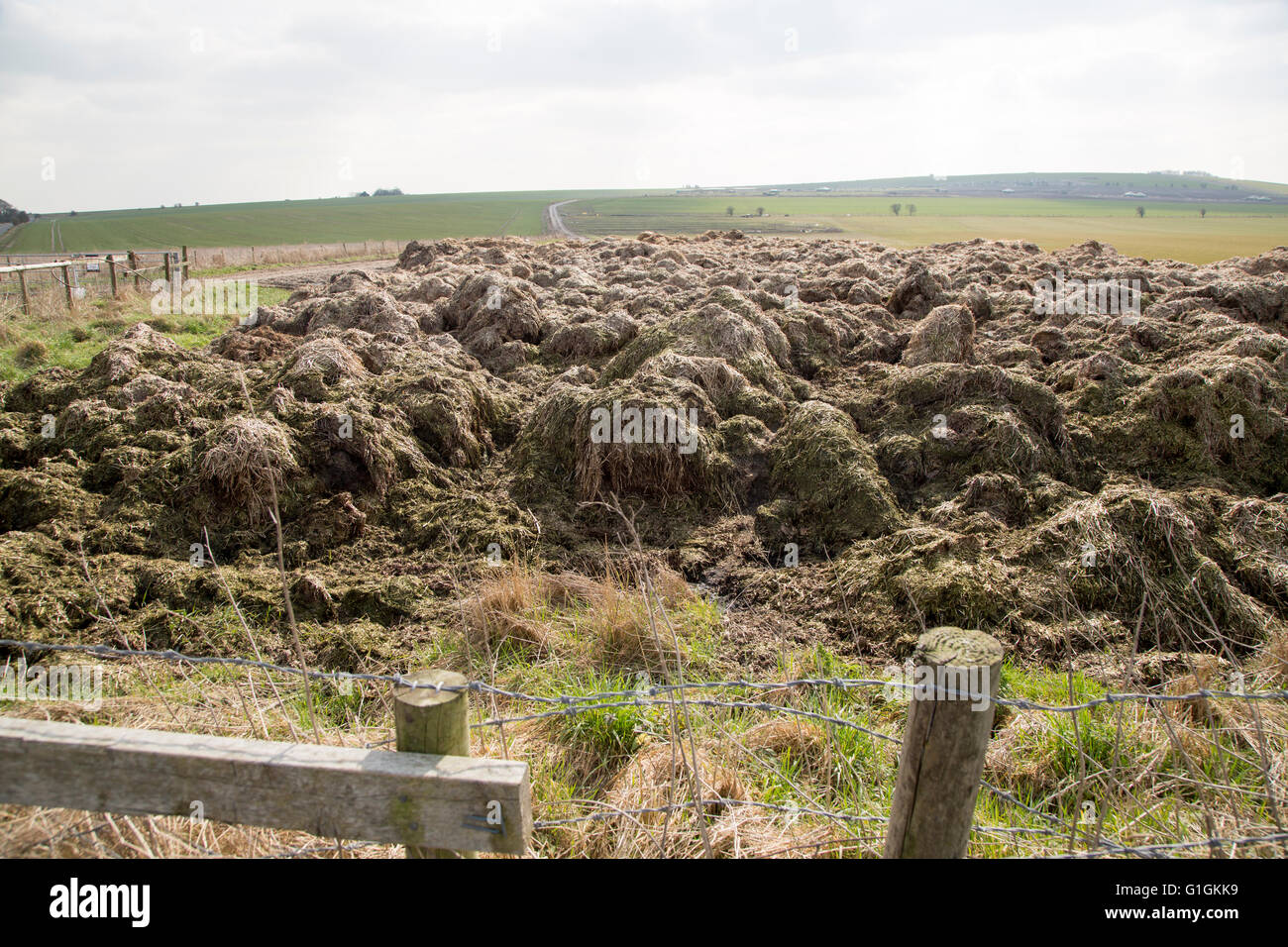 Organic manure piled in field to be spread as fertiliser on chalk downland fields, near Devizes, Wiltshire, England, UK Stock Photo