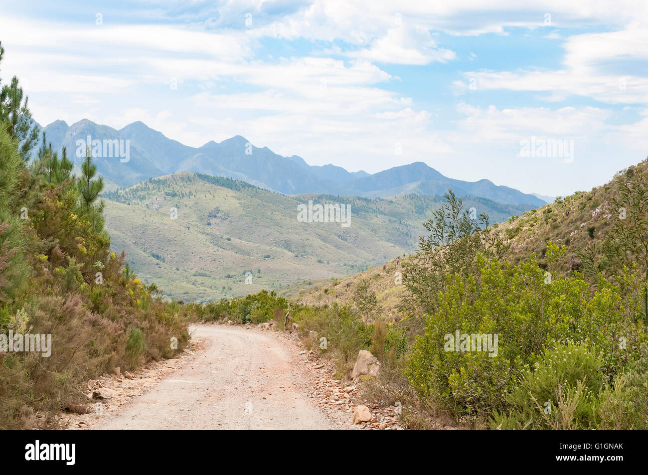 The Prince Alfred Pass with the Outeniqua Mountains in the back. At 68 km it is the longest mountain pass in South Africa Stock Photo