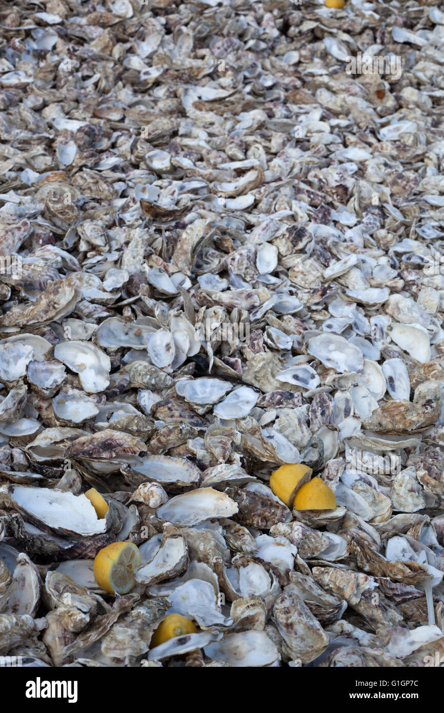 Discarded oyster shells, Cancale, Brittany, France, Europe Stock Photo