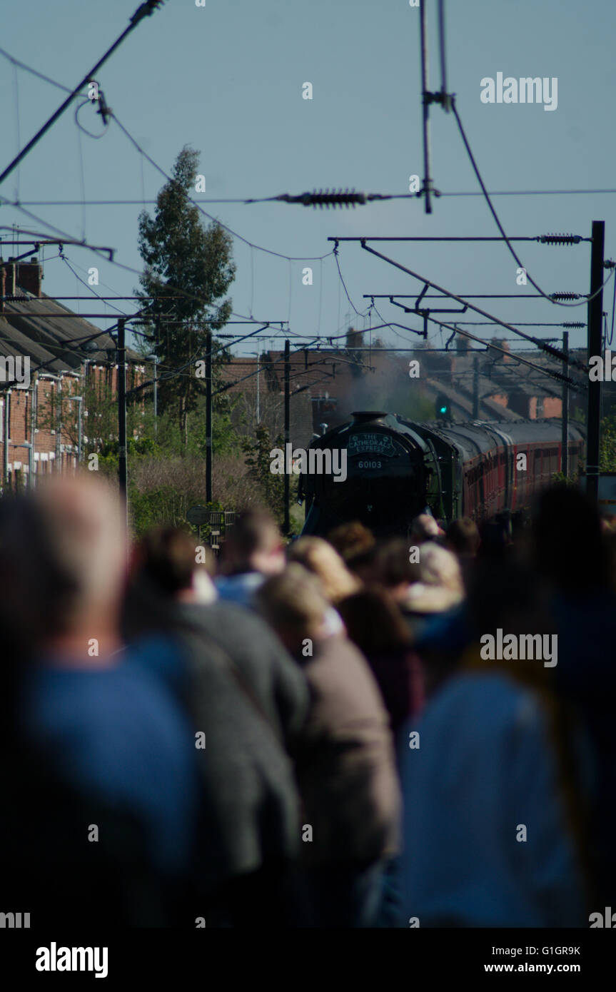 Chester le Street, UK, 14 May 2016. Crowds watching Flying Scotsman appraching Chester le Street station. Credit:  Colin Edwards / Alamy Live News Stock Photo