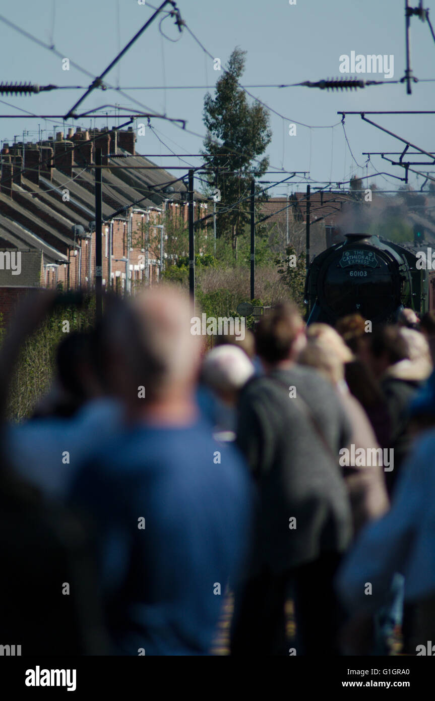 Chester le Street, UK, 14 May 2016. Crowds watching Flying Scotsman approaching Chester le Street station. Credit:  Colin Edwards / Alamy Live News Stock Photo