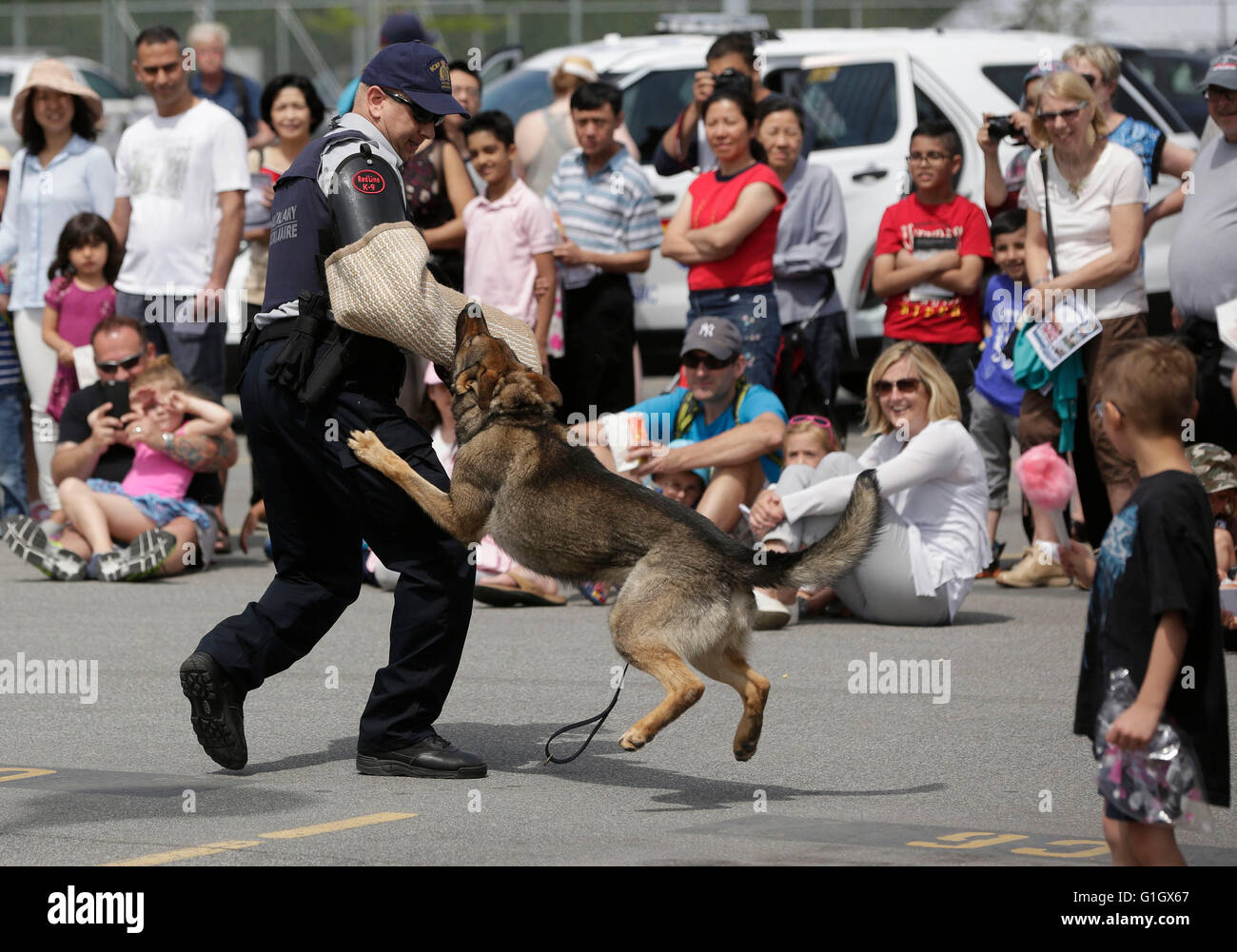 (160515) -- VANCOUVER, May 15, 2016 (Xinhua) -- Residents watch a police dog demonstartion during an open house event in celebration of the annual national police week at the Royal Canadian Mounted Police (RCMP)'s main detachment in Surrey, Canada, May 14, 2016. (Xinhua/Liang Sen) Stock Photo