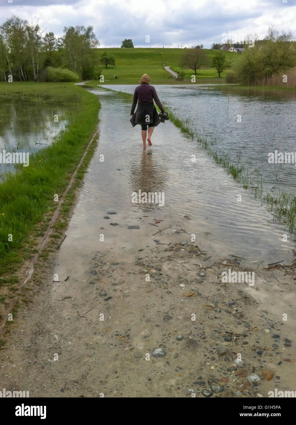 Pfaeffikon/Zurich, Switzerland - May 15, 2016: A woman has taken off her shoes and wades through the water that had overflooded a lakeside hiking trail at Lake Pfaeffikon, Switzerland (canton Zurich). After heavy rainfalls, many rivers and lakes in Switzerland burst their banks. Credit:  Erik Tham/Alamy Live News Stock Photo