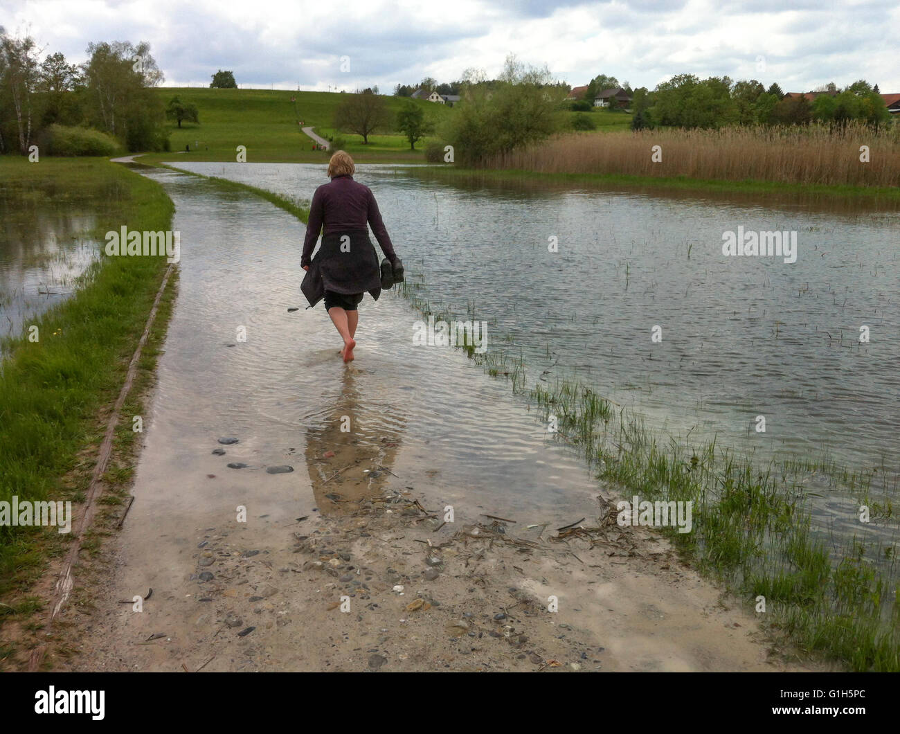 Pfaeffikon/Zurich, Switzerland - May 15, 2016: A woman has taken off her shoes and wades through the water that had overflooded a lakeside hiking trail at Lake Pfaeffikon, Switzerland (canton Zurich). After heavy rainfalls, many rivers and lakes in Switzerland burst their banks. Credit:  Erik Tham/Alamy Live News Stock Photo