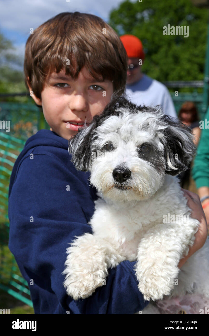 Løfte Gøre en indsats Awakening London, UK. 15th May 2016. Bailey the Jack Russell cross Poodle cross Coton  de Tulear winner of the Mr. Heath category, and his owner Jake at the All  Dogs Matter Great Hampstead