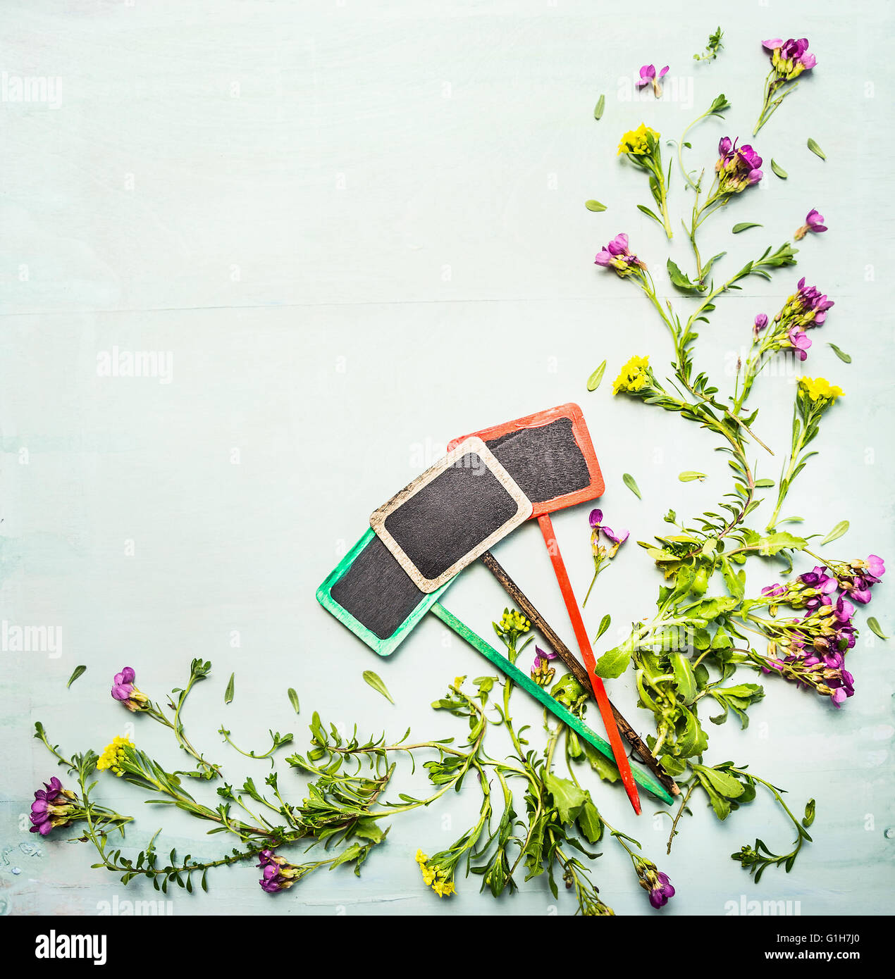Spring or summer plant and flowers with three garden sign on light ...
