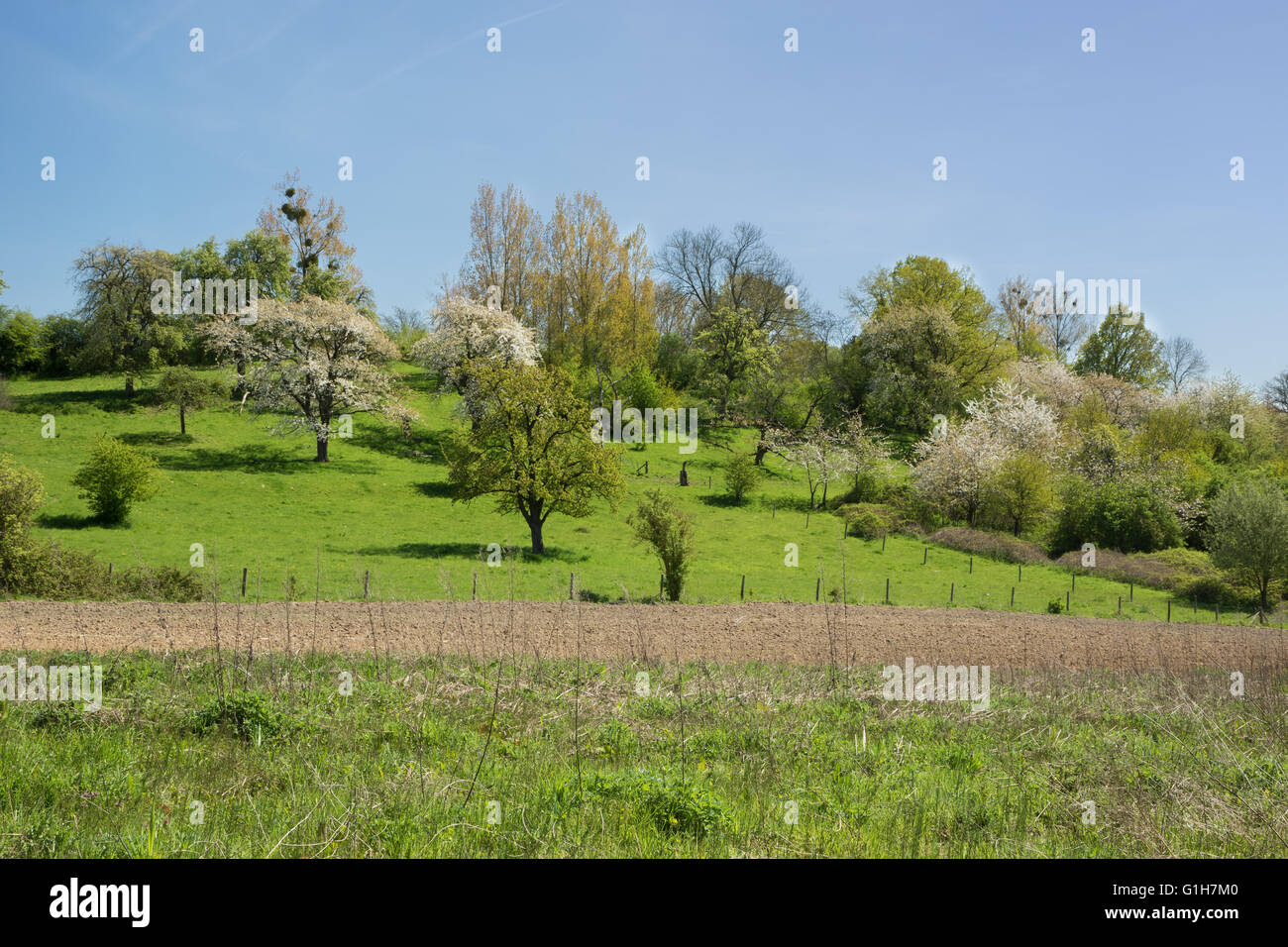 Hesbaye hires stock photography and images Alamy