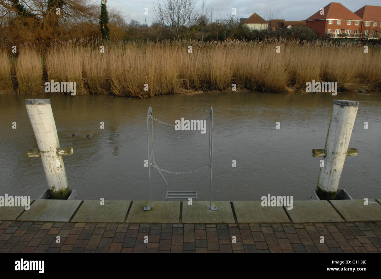Pond in Sandwich - Kent, United Kingdom Stock Photo - Alamy