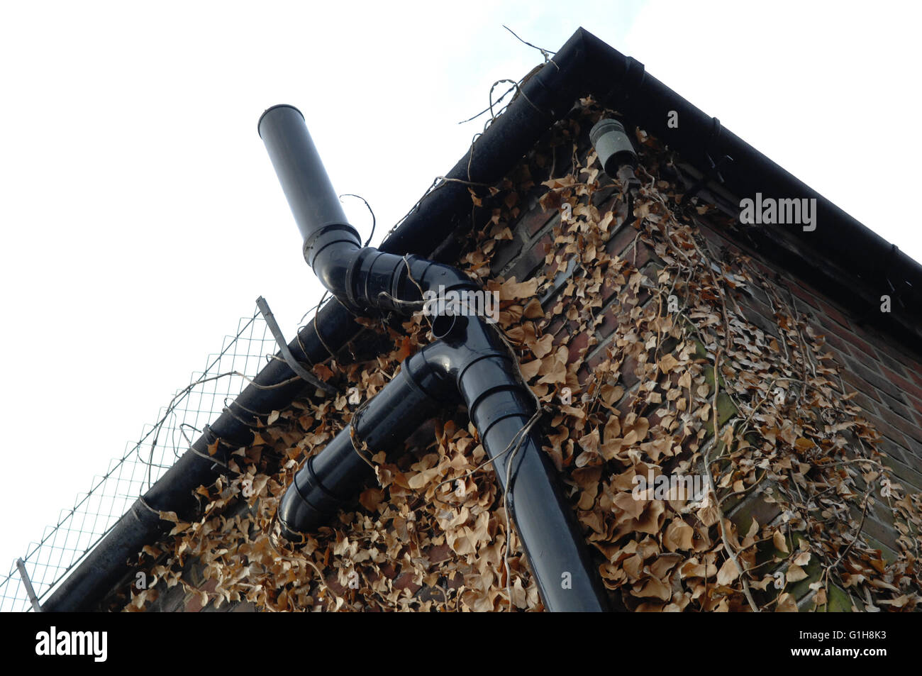 Gutters Downspouts In The Ada County Id Area Impact Directories
