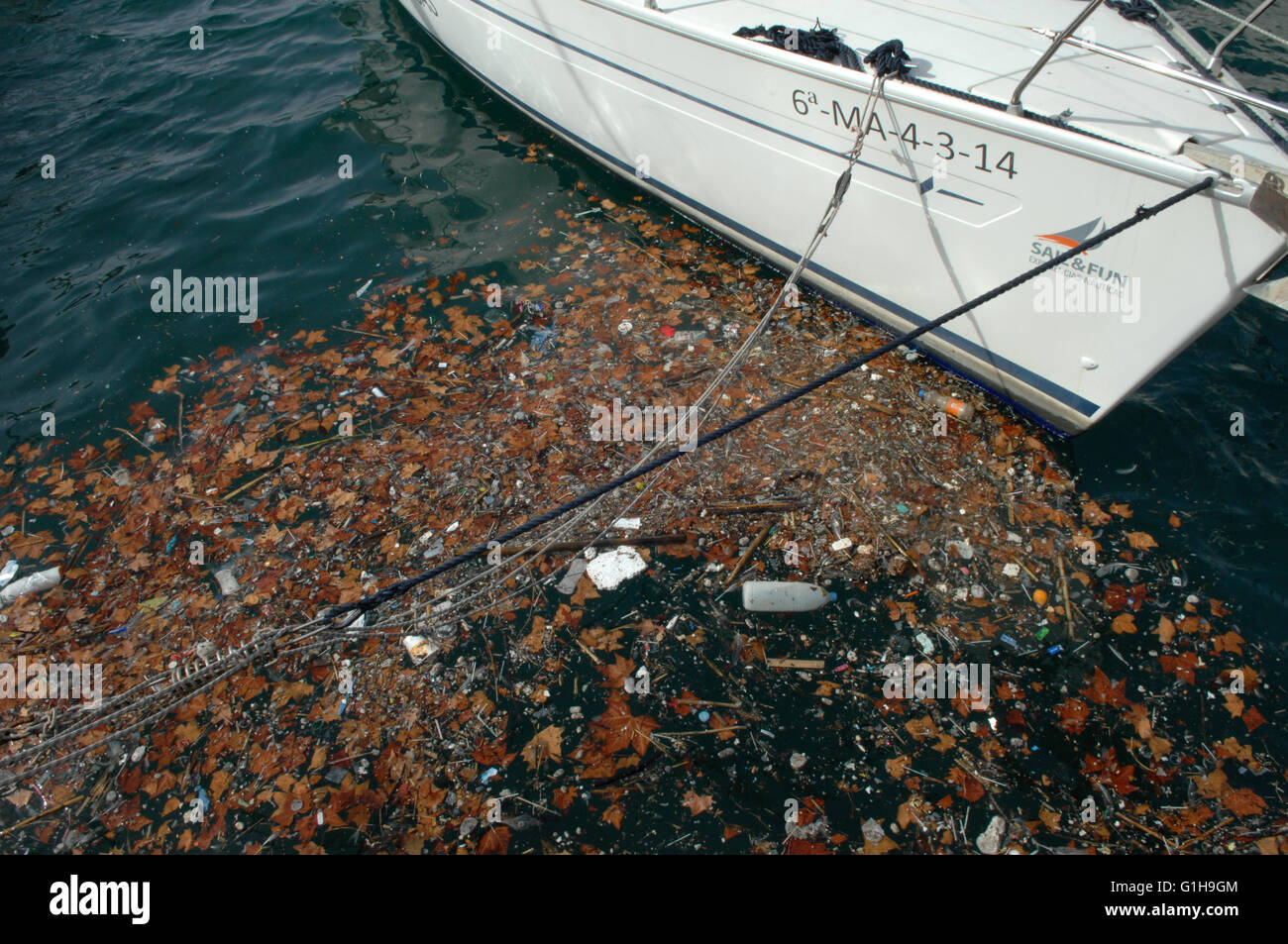 dead leaves,rubbish, seashore, Malaga Stock Photo