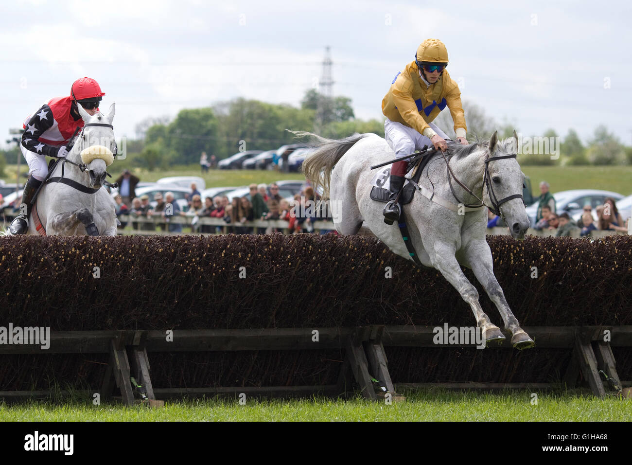 Race horses jumping brush fences at a local point to point meeting