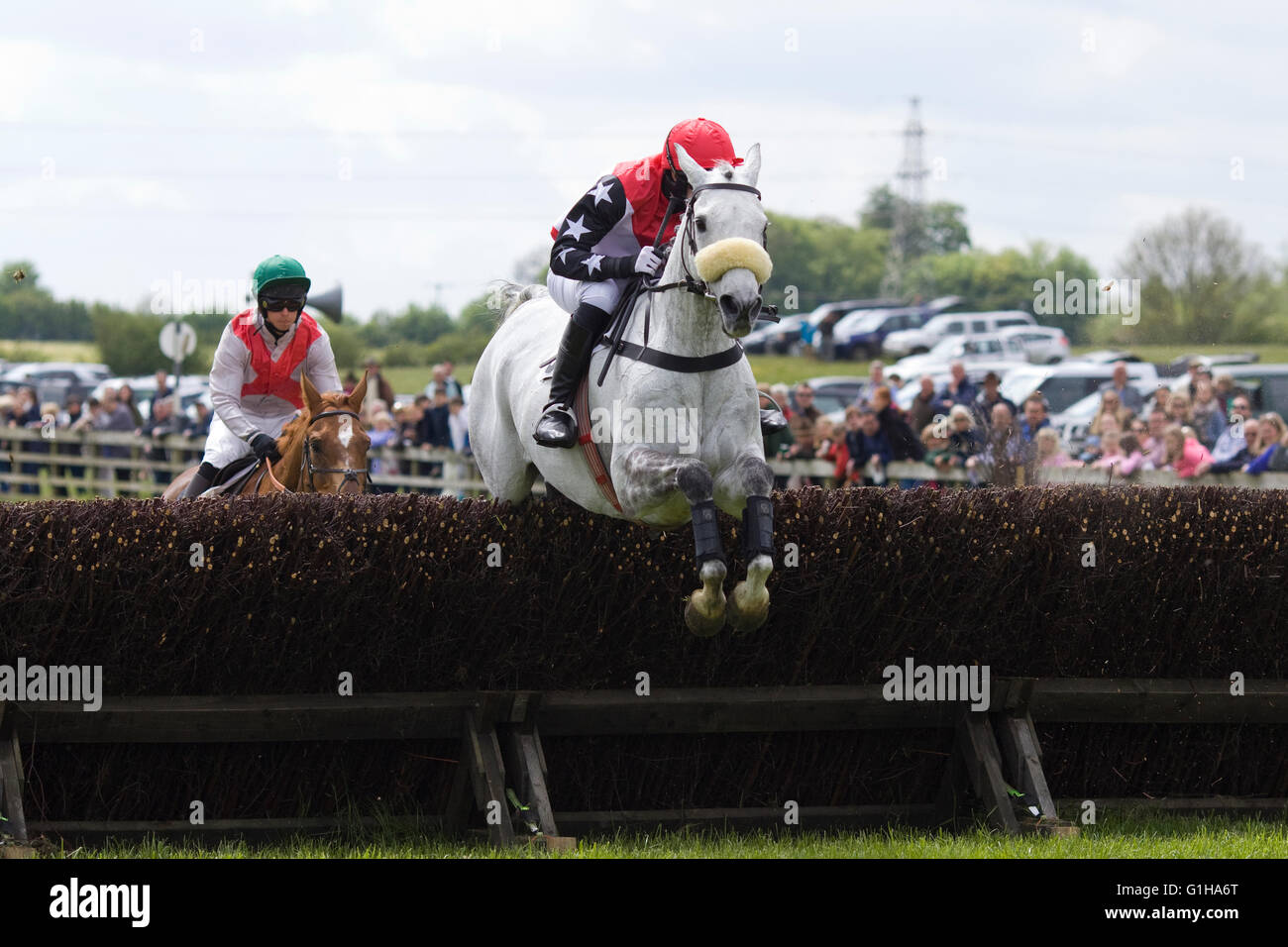 Race horses jumping brush fences at a local point to point meeting