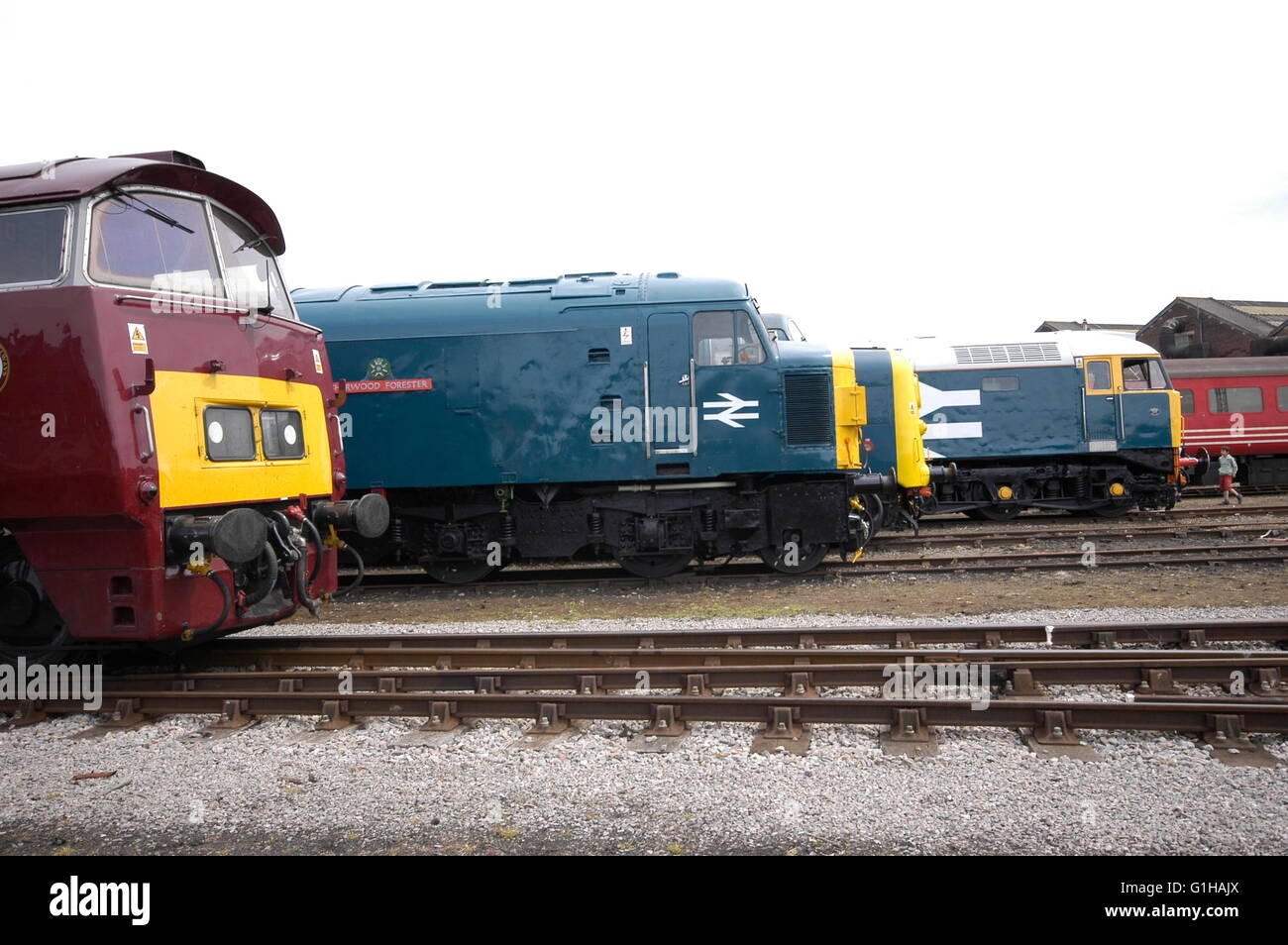 British railways diesel hires stock photography and images