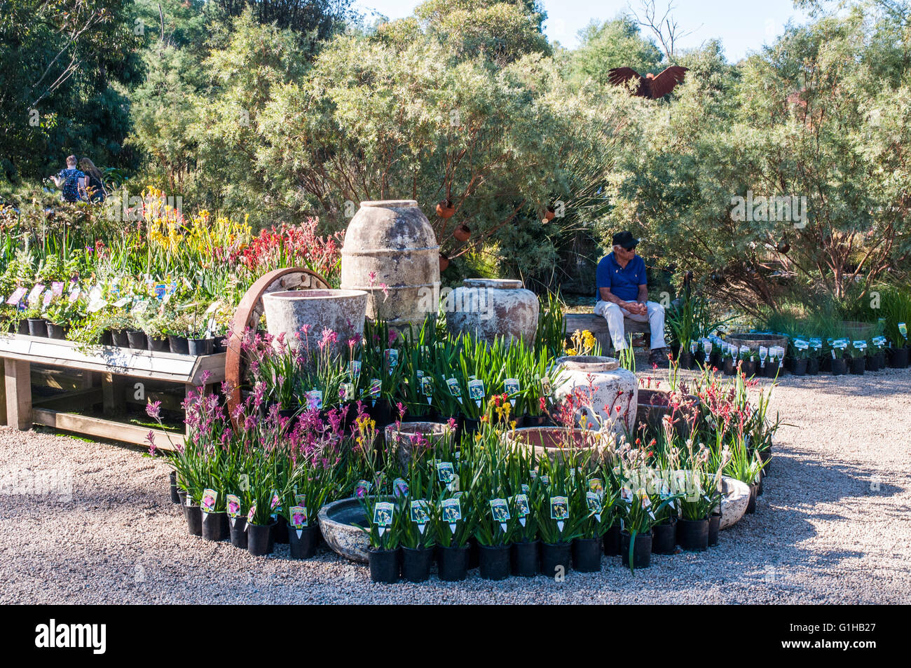 Kuranga Native Nursery at Mt Evelyn in the Yarra Valley, Victoria