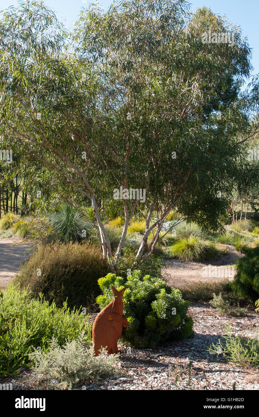 Landscaped grounds of Kuranga Native Nursery at Mt Evelyn in the Yarra
