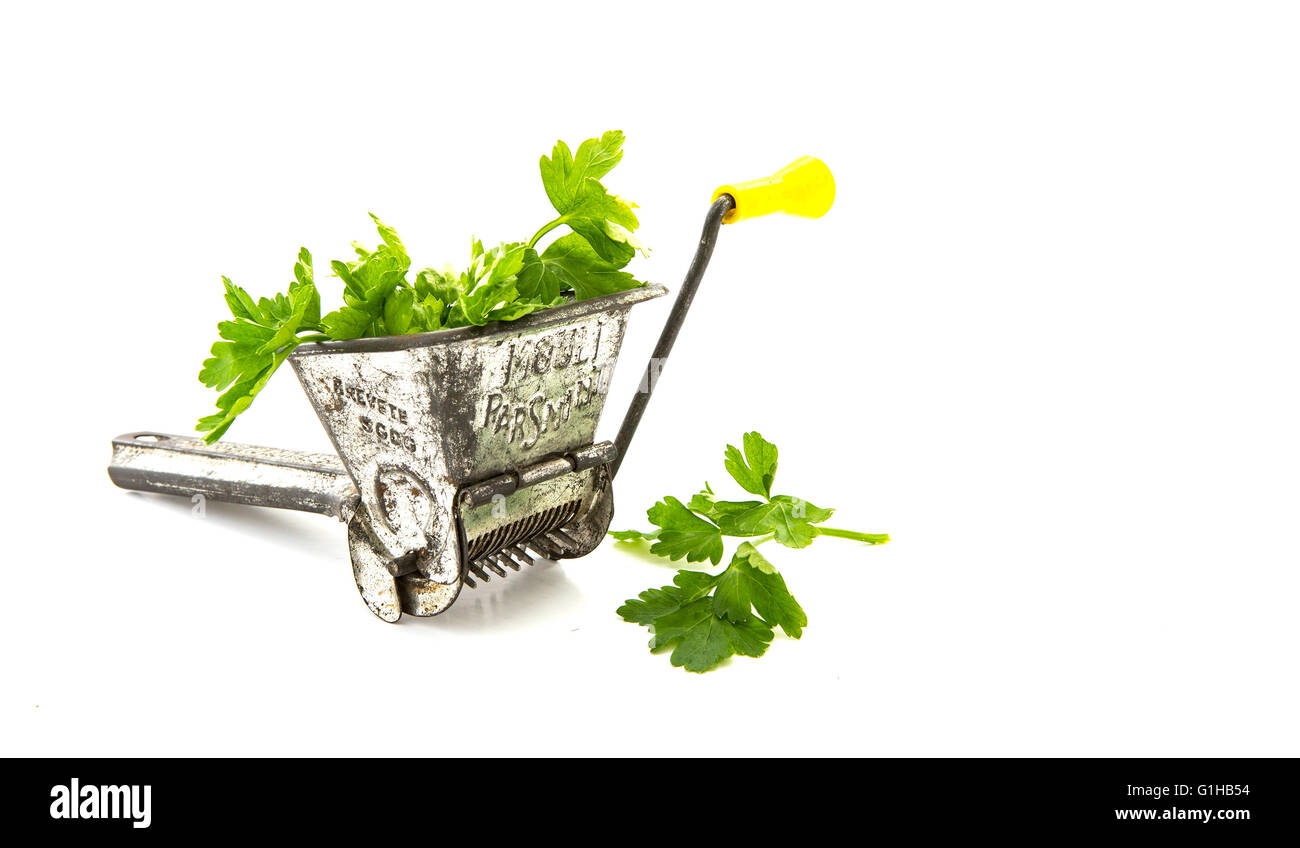 https://c8.alamy.com/comp/G1HB54/retro-1950-mouli-parsmint-herb-grinder-on-a-white-background-G1HB54.jpg