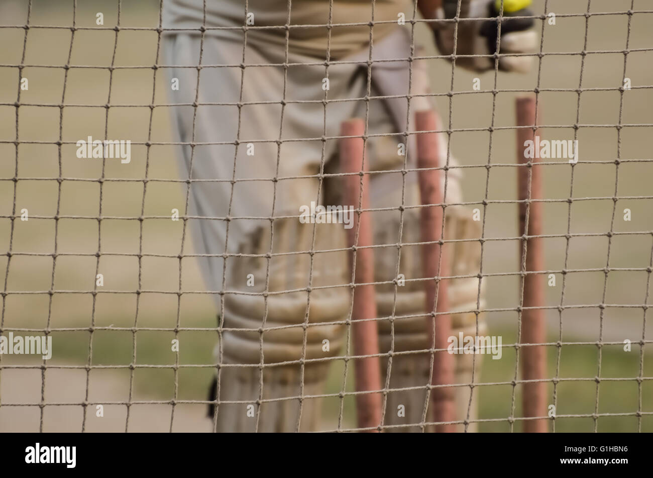 Cricket net practice. Stock Photo