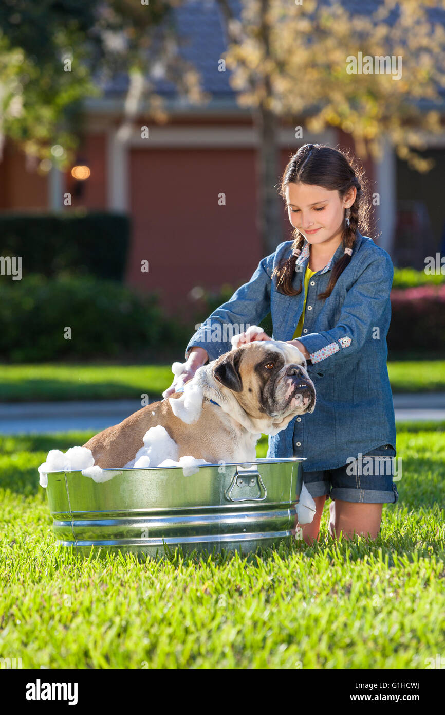 Young girl child washing her pet dog, a bulldog, outside in a metal tub Stock Photo