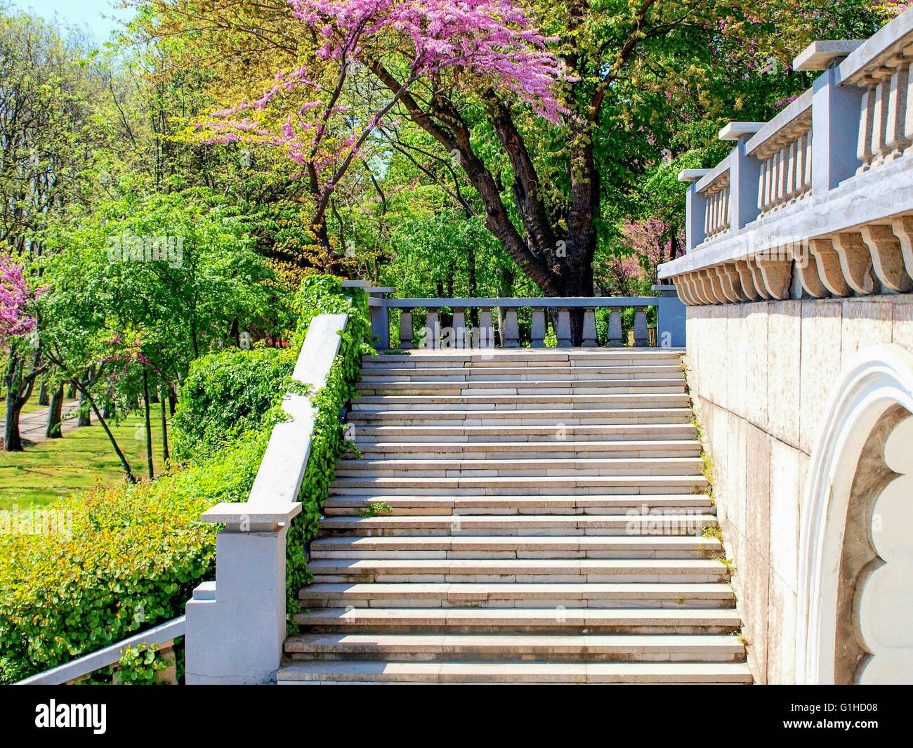 Marble stairs and parapet in a park with green and purple blossoming trees Stock Photo