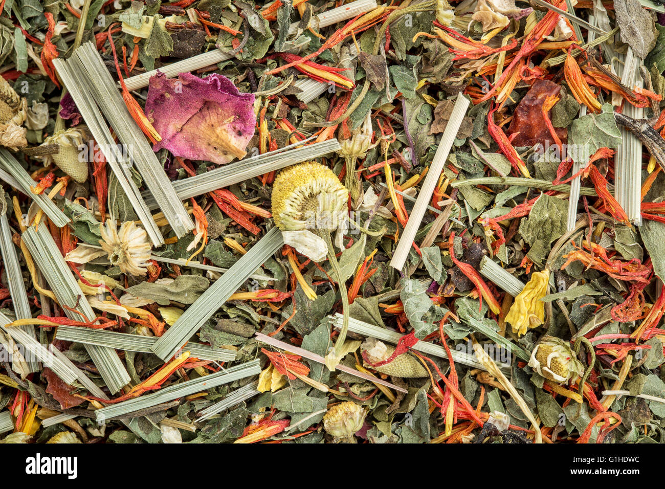 digestion and bloating herbal tea with peppermint, spearmint, honeybush