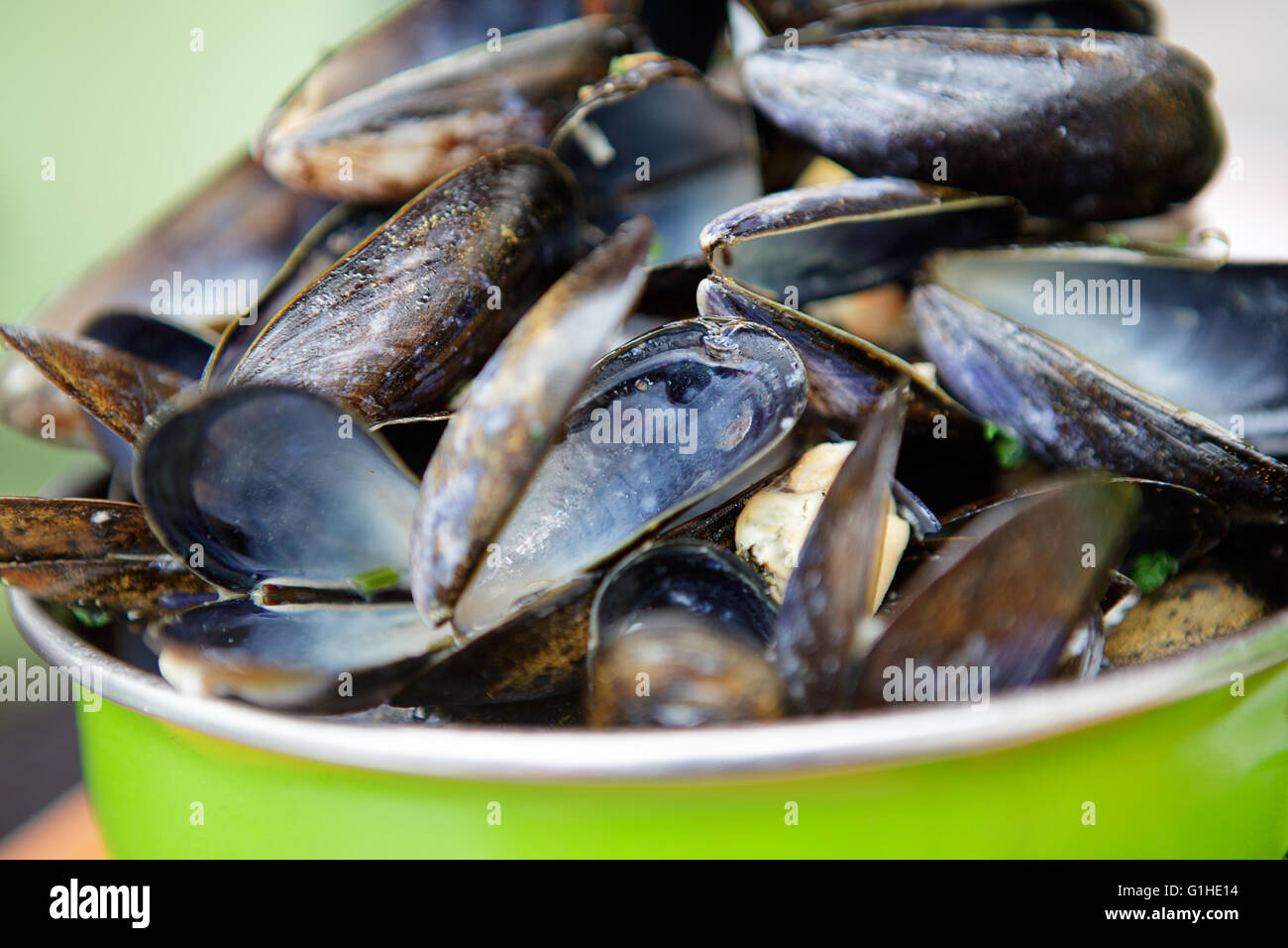 Serving of fresh cooked blue mussels in pot Stock Photo