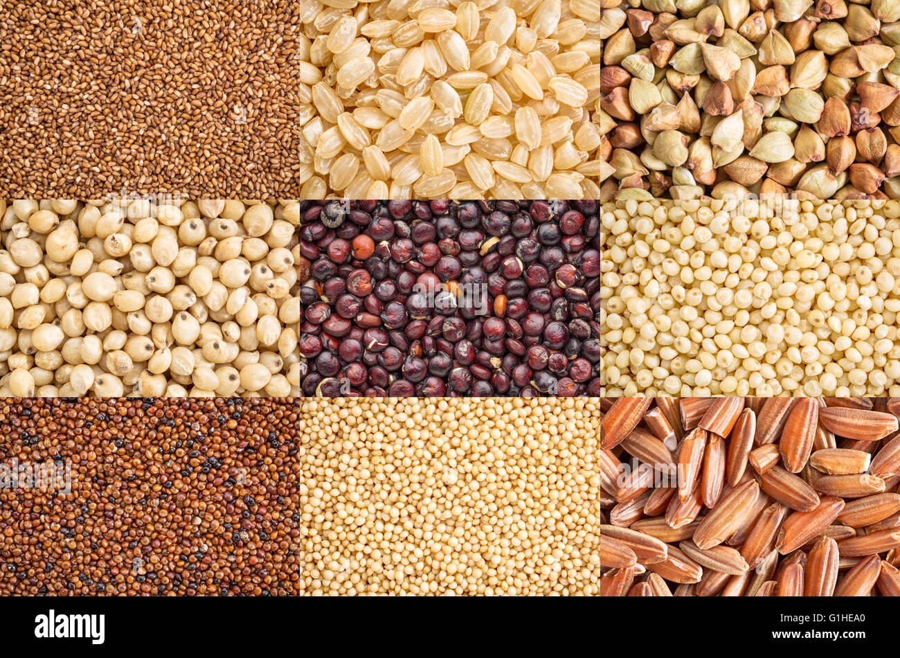 nine healthy, gluten free grains (black quinoa, two varieties of brown