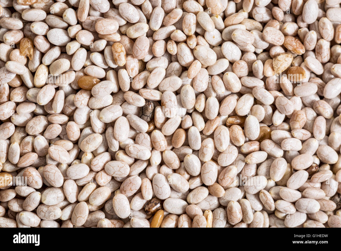 background of organic white chia seeds rich in omega3 fatty acids