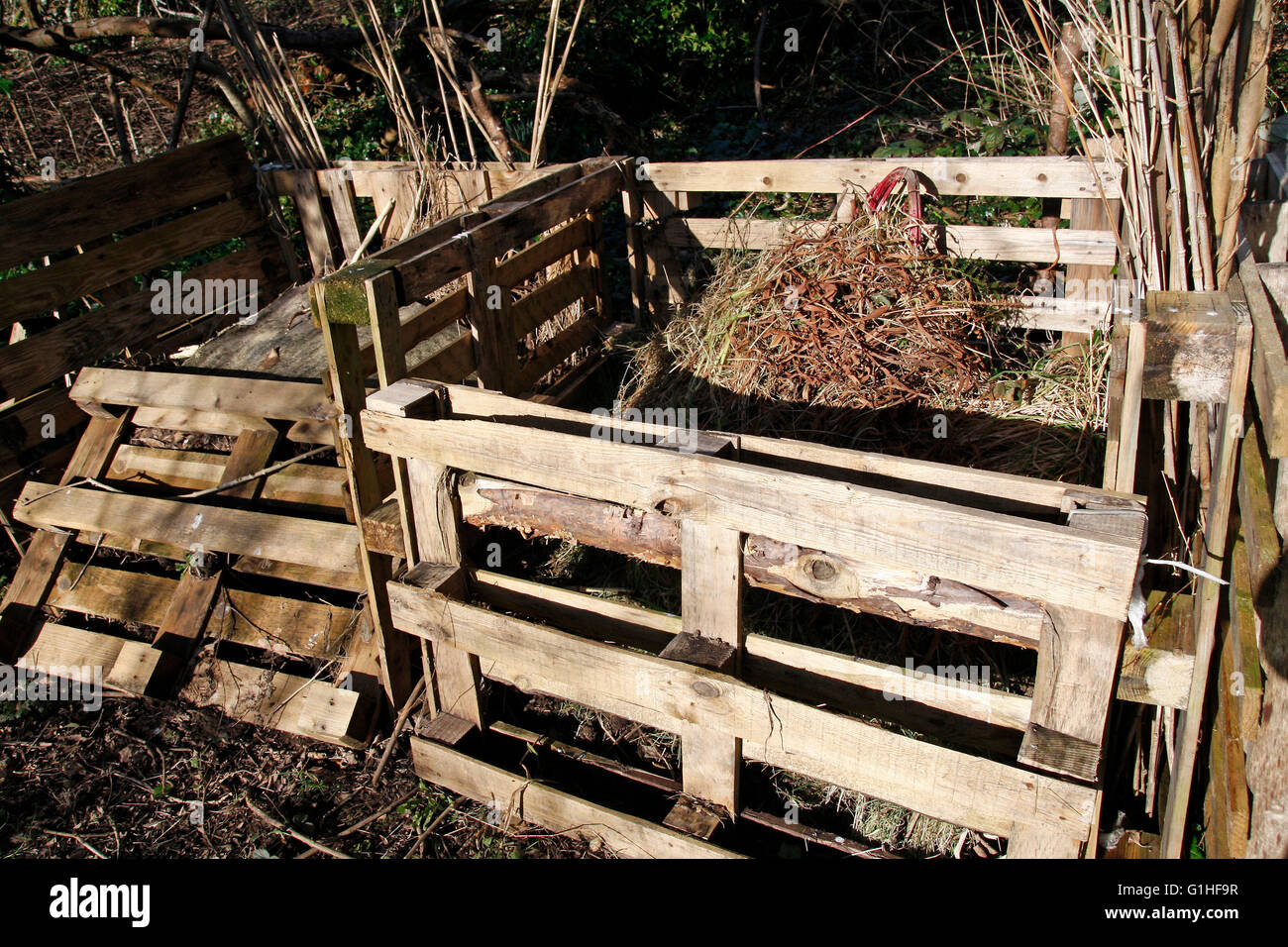 Compost bins made from old pallets in an allotment Stock Photo Alamy