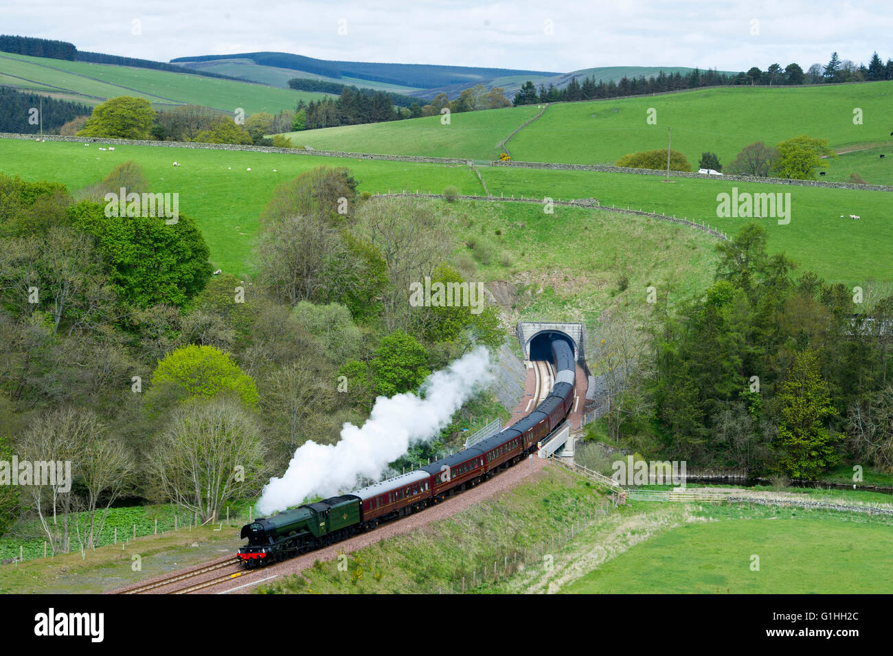 15/05/2016. The Flying Scotsman exits Bowshank tunnel on route from Edinburgh Waverley to Tweedbank, Galashiels in the Scottish Stock Photo