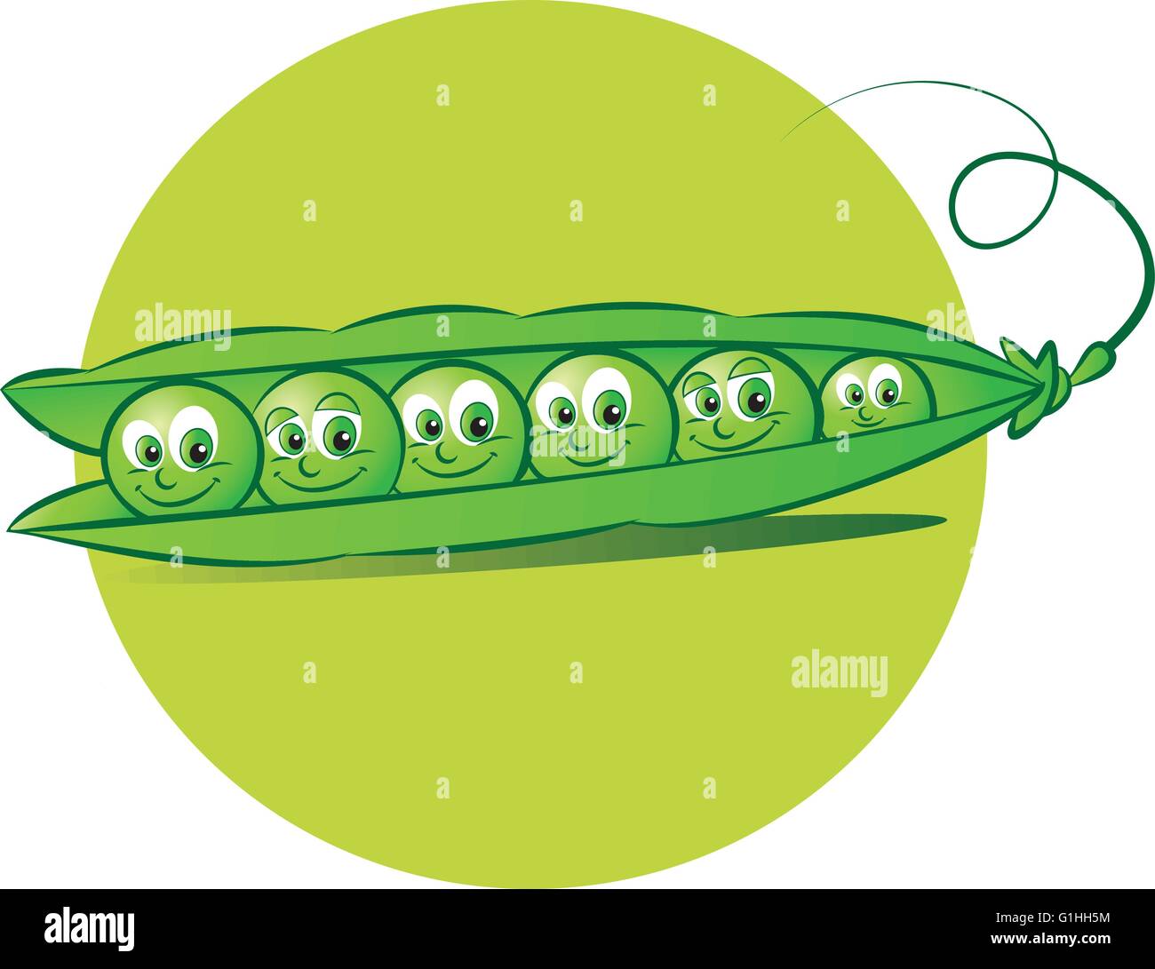 Pea plant drawing hires stock photography and images Alamy