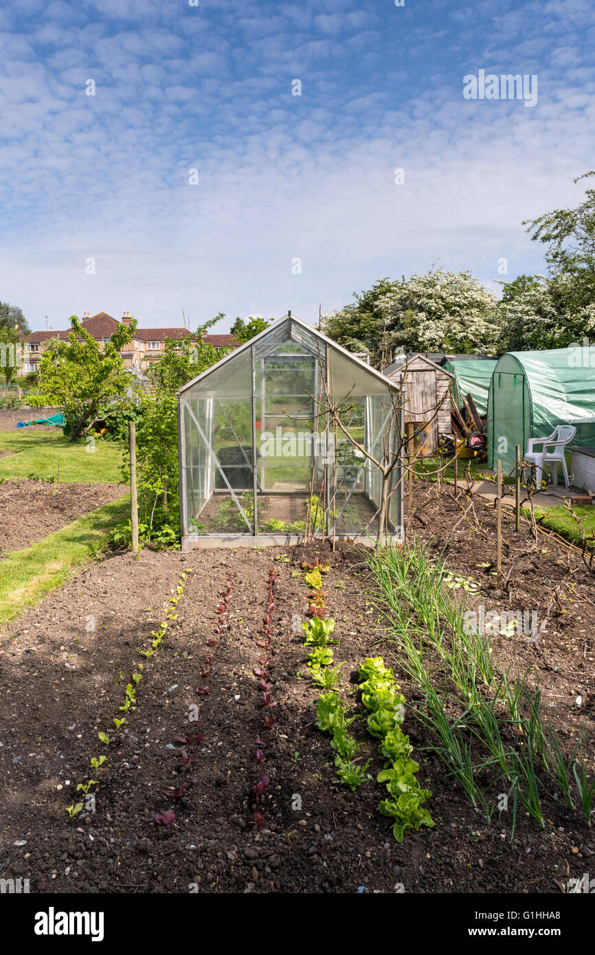 Well tended allotment garden in springtime. A plot of land for families to grow vegetables for personal use. Stock Photo