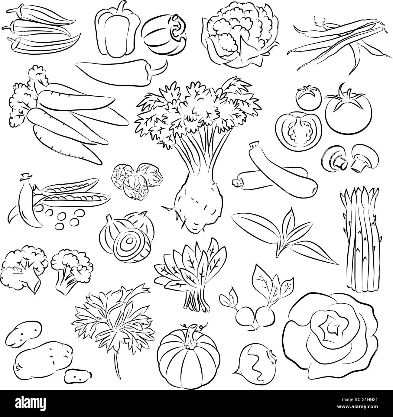 Vector Illustration of vegetables in line art mode Stock Vector Image