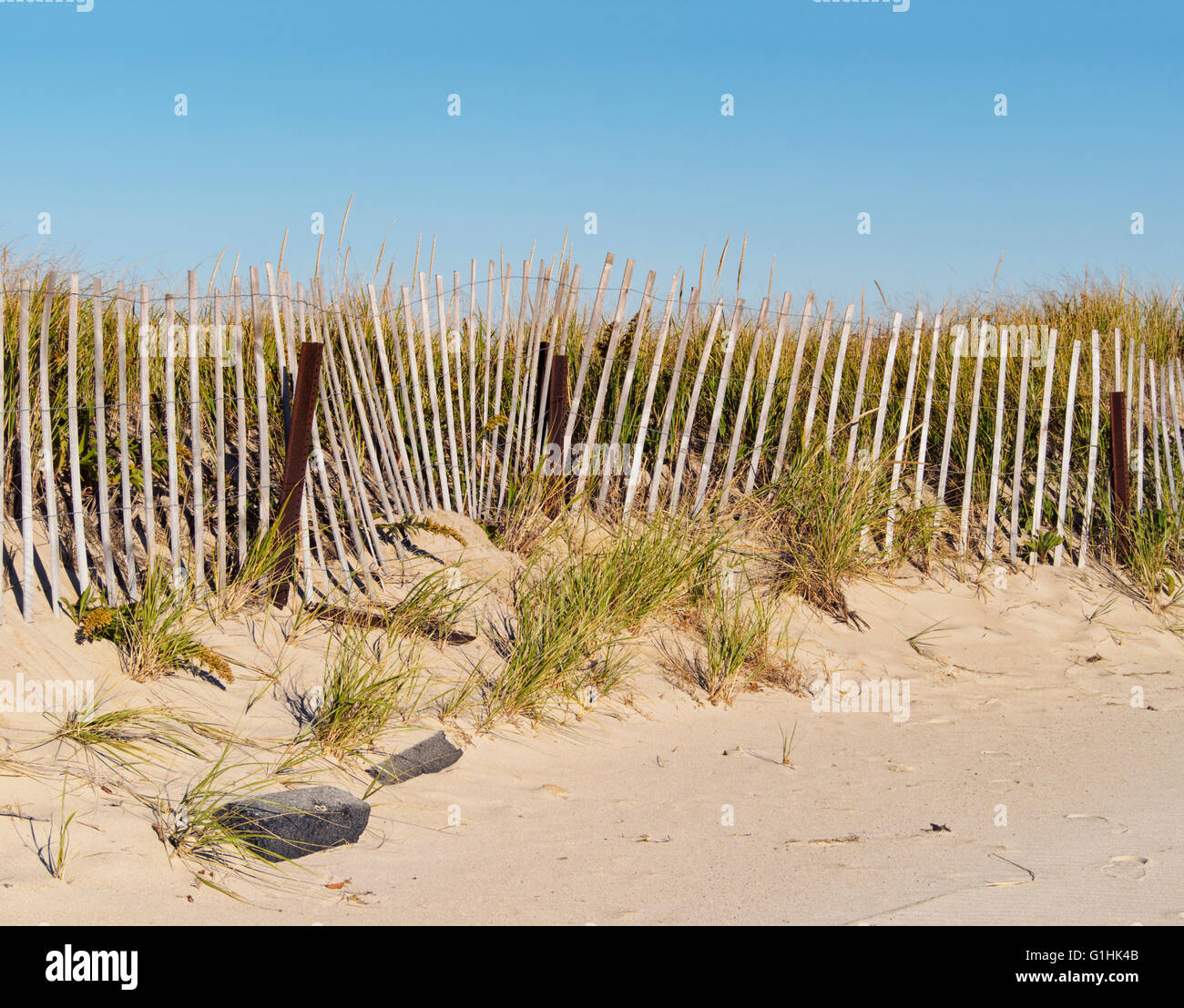 Dunes, dune grasses fence sand clear blue sky, Sandy Neck Beach, Barnstable, Cape Cod, Massachusetts, nostalgic kodachrome feel Stock Photo