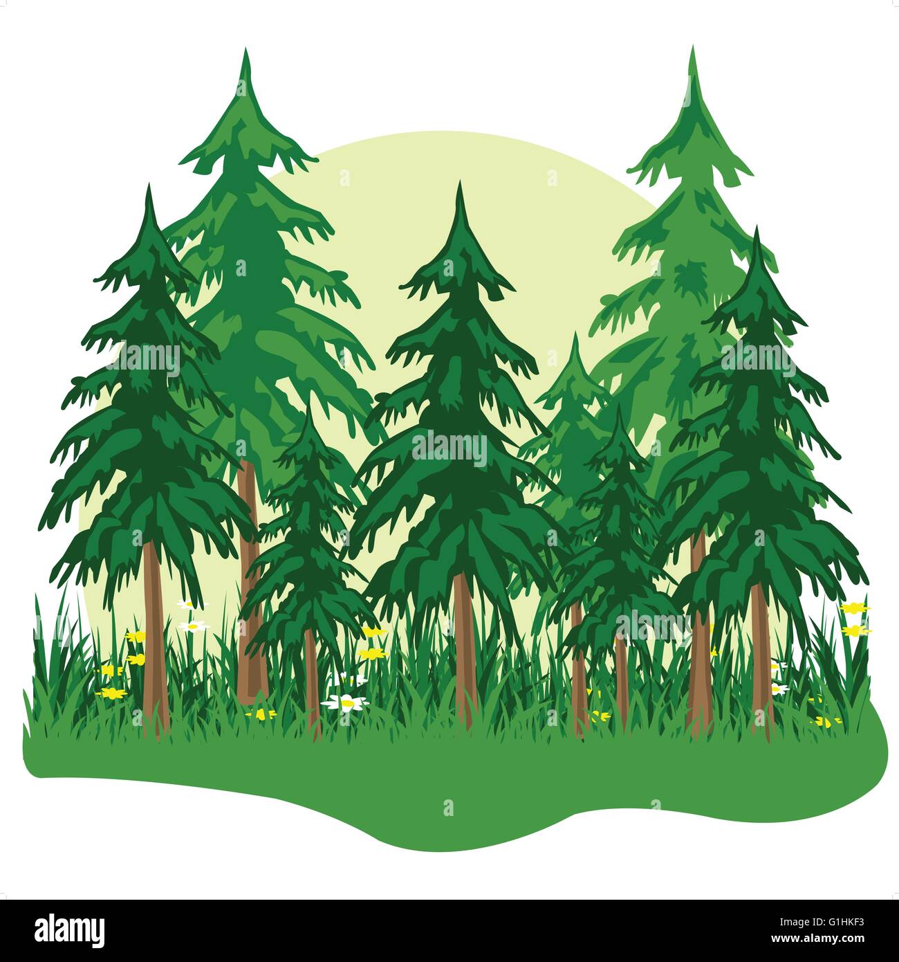 Wild coniferous wood in a morning fog. Stock Vector