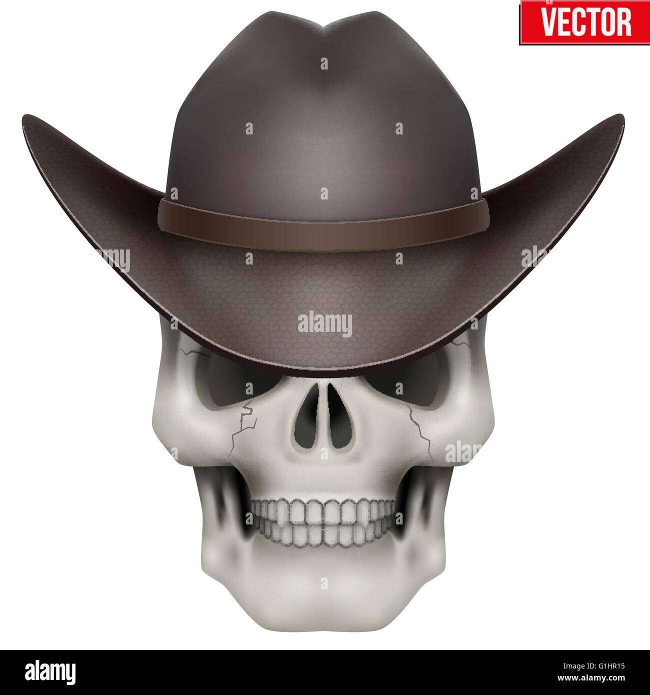 Vector Human skull with cowboy hat on head Stock Vector