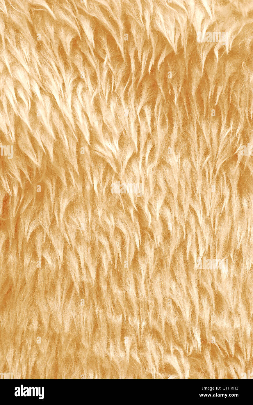 Fur texture hires stock photography and images Alamy