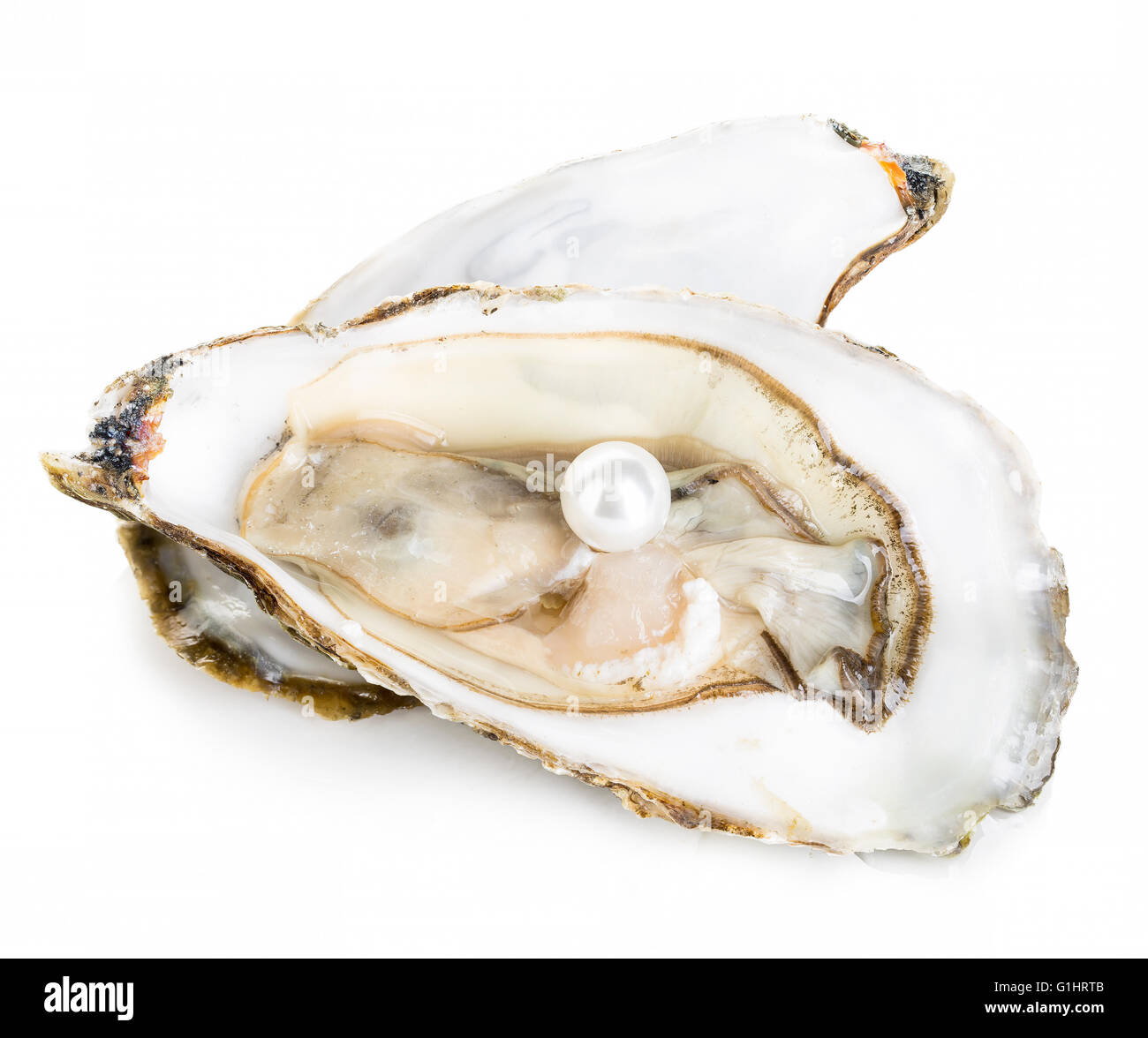 Oyster with pearl close-up isolated on a white background. Stock Photo