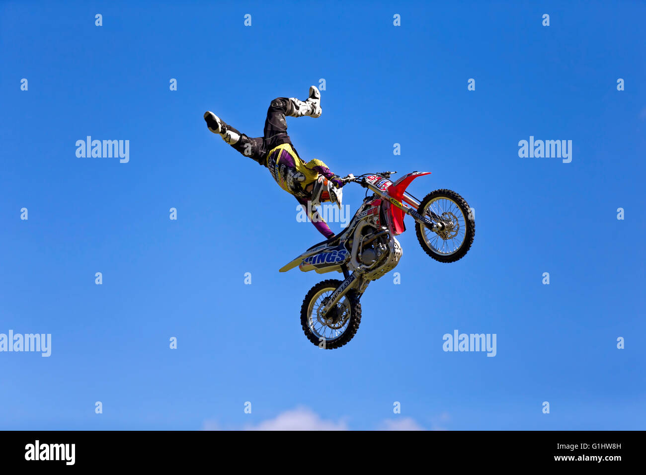 A member of the Bolddog Lings Freestyle Motocycle Display Team performs stunts at the 2015 Wilton House Classic & Supercar Show. Stock Photo