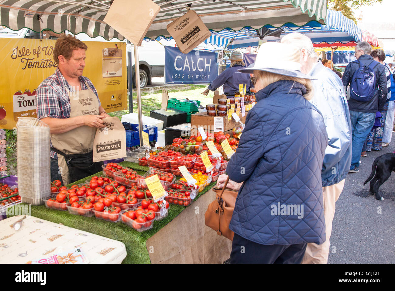 Isle of Wight tomato stall at the Alresford watercress festival 2016, New Alresford, Hampshire, England, United Kingdom. Stock Photo