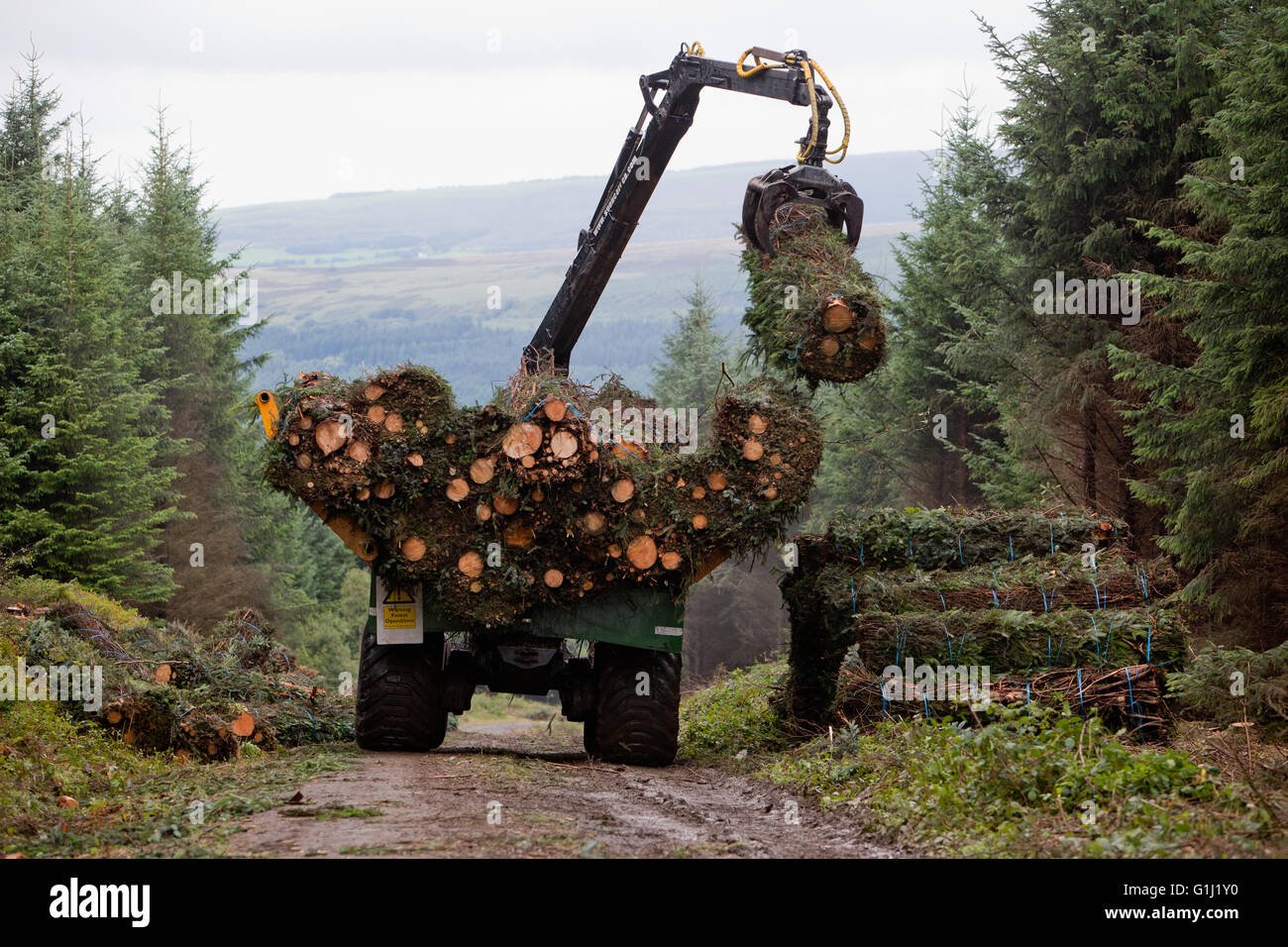 Brash bales being loaded  for shipment as fuel to the local biomass power station at Port Talbot Stock Photo