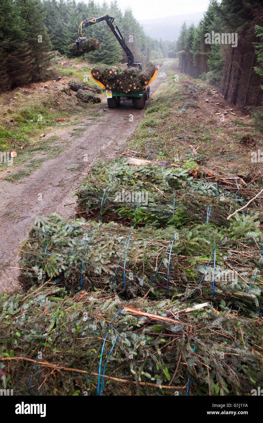 Brash bales being loaded  for shipment as fuel to the local biomass power station at Port Talbot Stock Photo