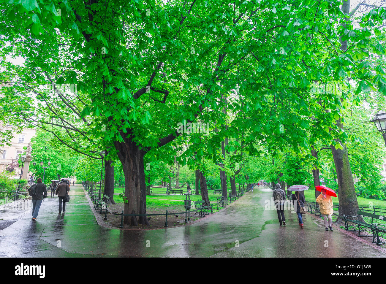 Rain park spring, view of people walking in the rain on converging paths in Planty Park in Krakow, Poland. Stock Photo