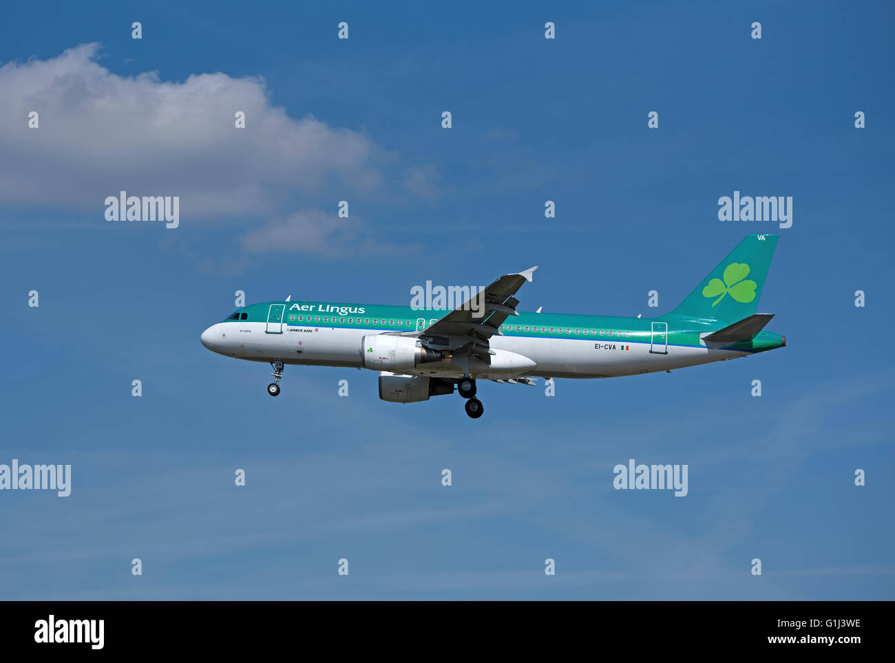 Aer Lingus Airbus A 320-214 Civil Passenger Aircraft ('St Shira') Approaching LHR London Heathrow Airport.  SCO 10,372. Stock Photo