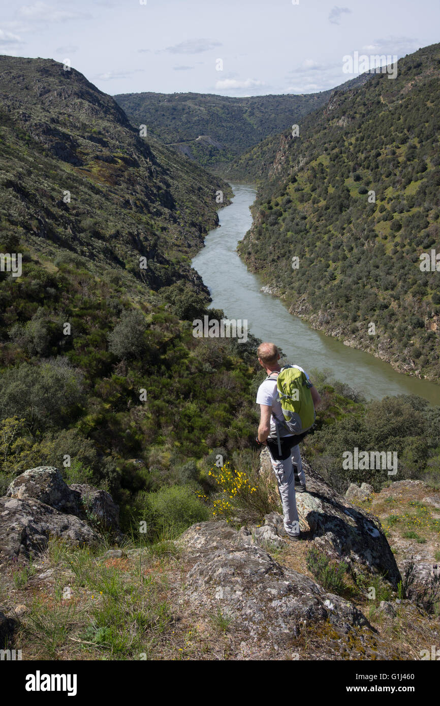 A trekker enjoys the view from a viewpoint over the Duero river in the Arribes national park. Stock Photo