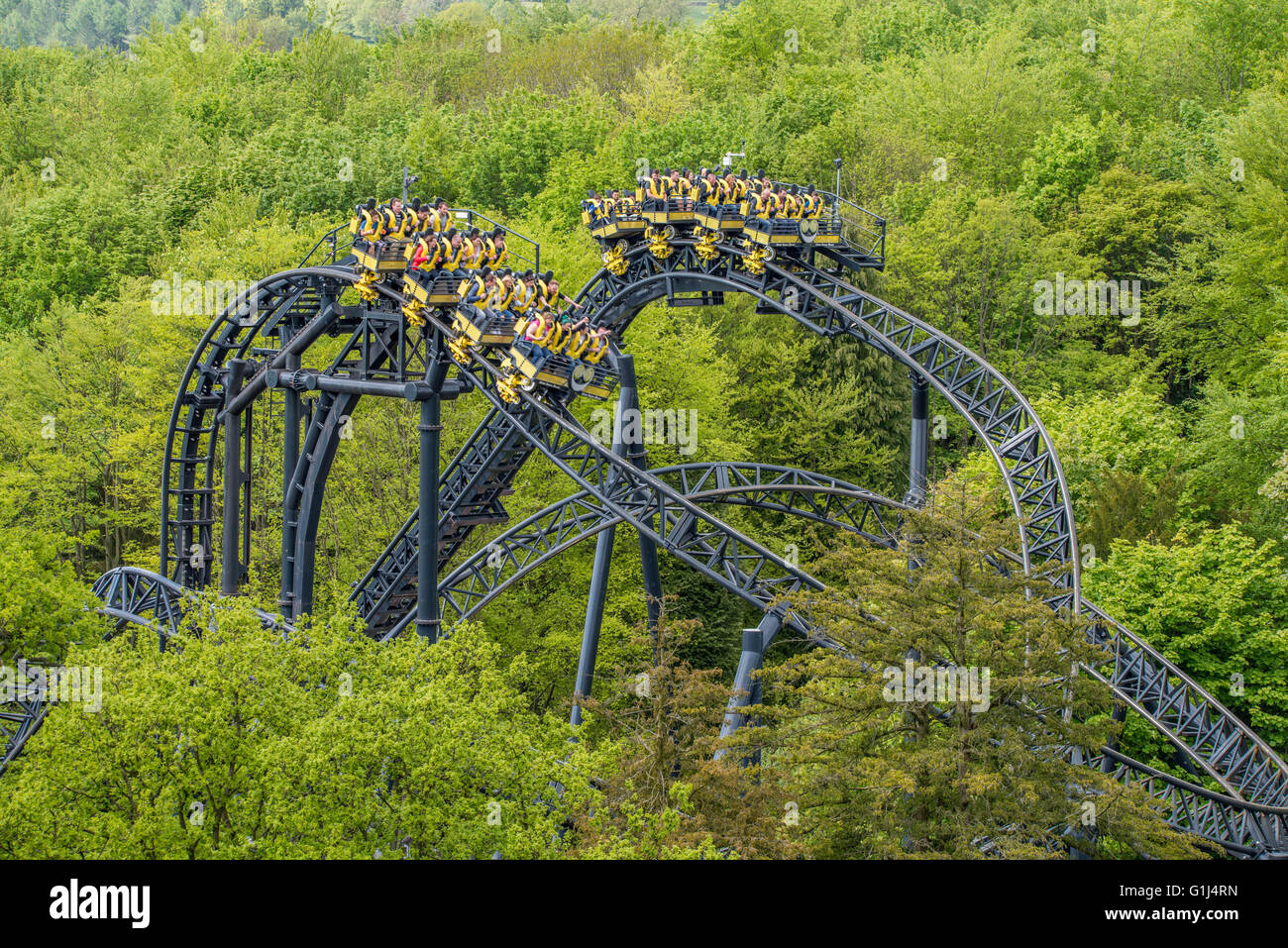 The Smiler Rollercoaster , 2 Trains Pass Each Other , Alton Towers Theme Park Staffordshire England Roller Coaster. Stock Photo