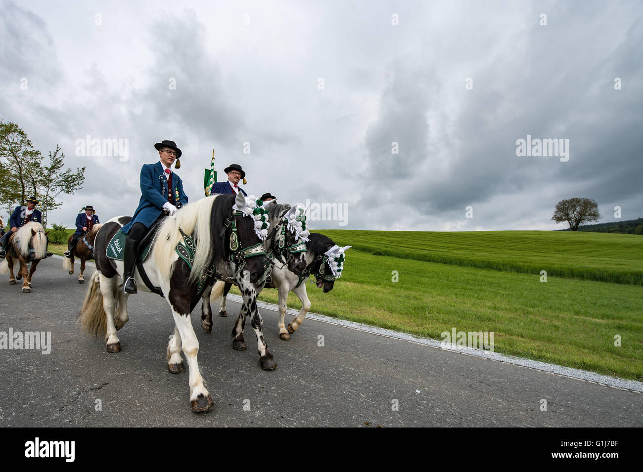 Participants in the Koetzing Pentecost Ride ride their horses near Bad Koetzing, Germany, 16 May 2016. The procession of 900 horsemen is one of the oldest traditional events in Bavaria. The 'Maennerleut' make an around seven-kilometer pilgrimage on the back of richly adorned horses from Bad Koetzting to St. Nicholas' Church in Steinbuehl. Photo: ARMIN WEIGEL/dpa Stock Photo
